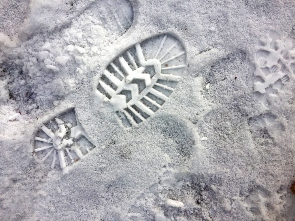 Footprints Snow Frozen Shoes Track  - olebertelsen / Pixabay