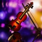 Violin Bokeh Classic Entertainment  - Lockenfrosch / Pixabay