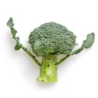green broccoli on white background