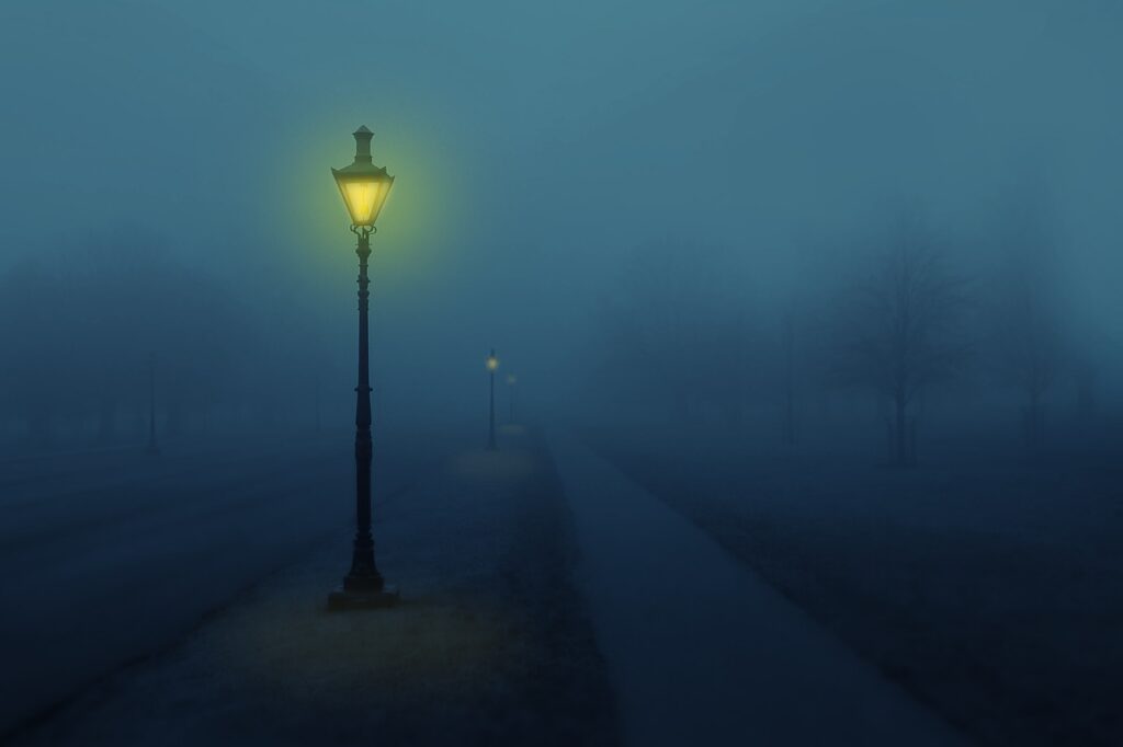 night fog street lamp light trees 4195327